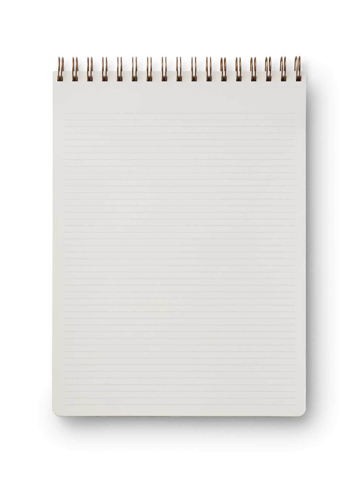 Rifle Paper Co climbing vine large top spiral notebook
