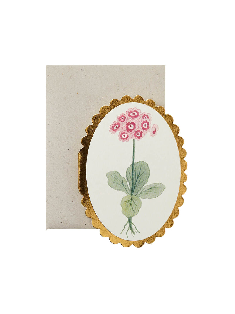 Wanderlust Paper Co mini Auricula card